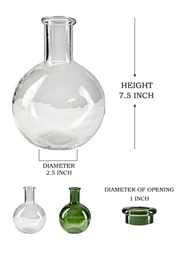 Vintage Clear Bottleneck Vase Set for Living Room and Bathroom