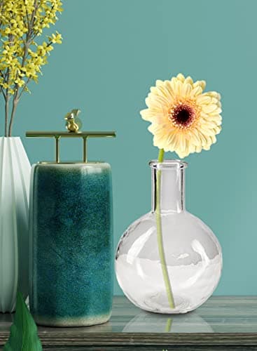 Vintage Clear Bottleneck Vase Set for Living Room and Bathroom