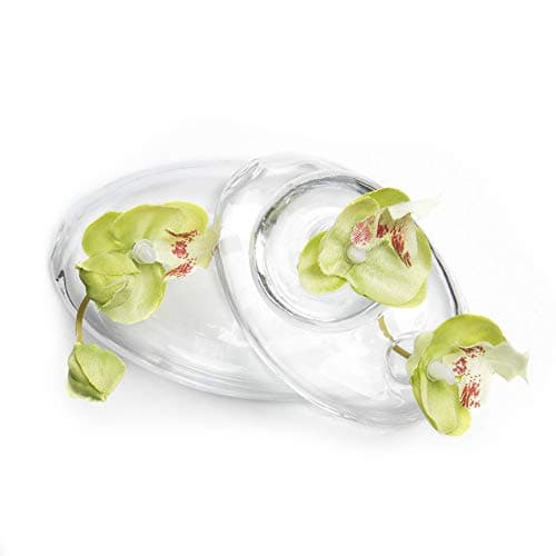 CHIVE Hudson Rockpile Clear Glass Multi-Chambered Flower Vase