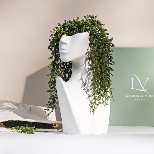 Faux String of Pearls Plant Face Vase with Succulents for Table DecorATIONS