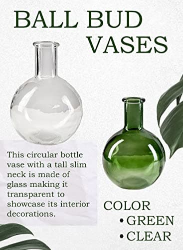 Vintage Clear Bottleneck Vase Set for Living Room and Bathroom