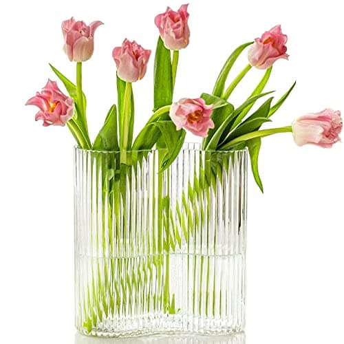 Aoderun Footprint Shape Ribbed Glass Vase for Flowers, Modern Large Vase for Living Room Dining&Coffee Table Kitchen Office Home Shelf Wedding Party Decor (Iridescent Clear) — Clear