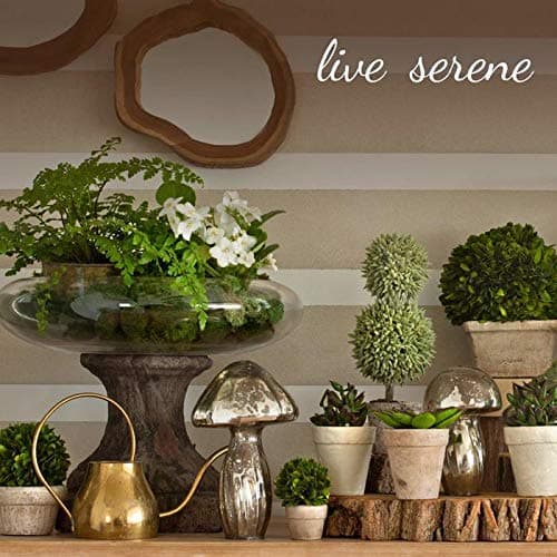 Serene Spaces Clear/Brown Tall Glass Vase, Elegant Home Decor for Fresh or Dried Flowers