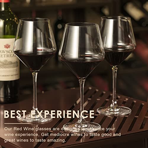 Lead-Free Premium Crystal White & Red Wine Glasses, Hand Blown Italian Style, 6 Pack(16oz)