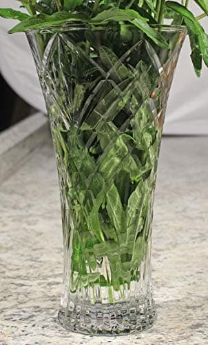 Lorren Home Trends Vase for Melodia Lovers