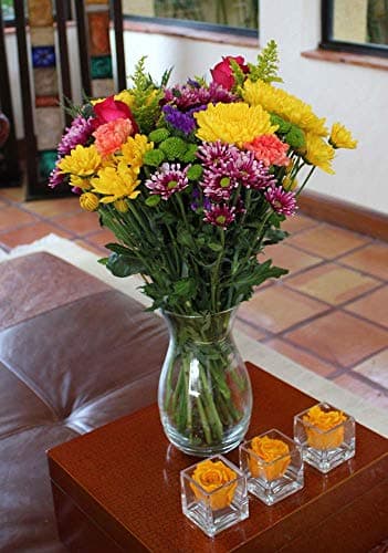Melody of Color Bouquet (Free VASE) Melodia Crystal Wine Glass Set of 6