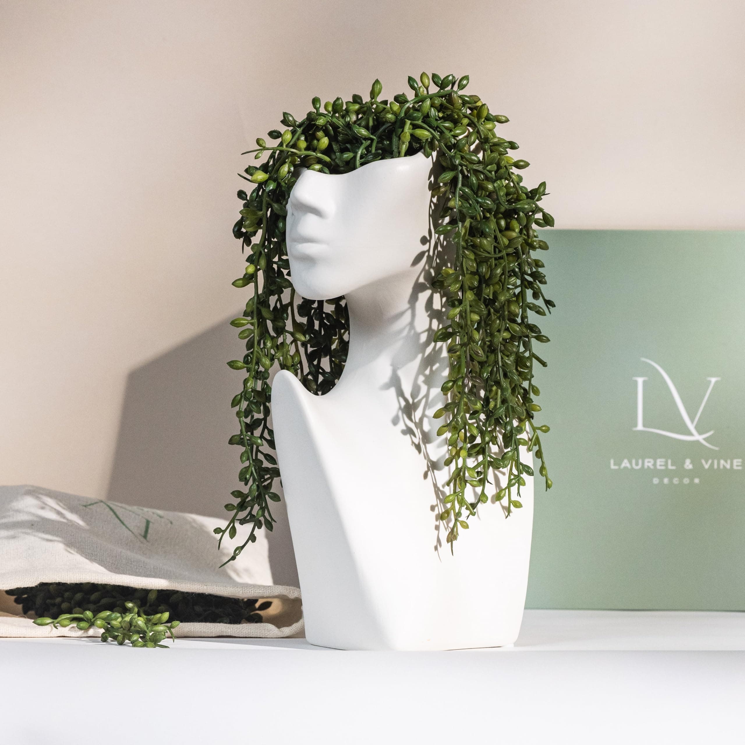 Faux String of Pearls Plant Face Vase with Succulents for Table DecorATIONS