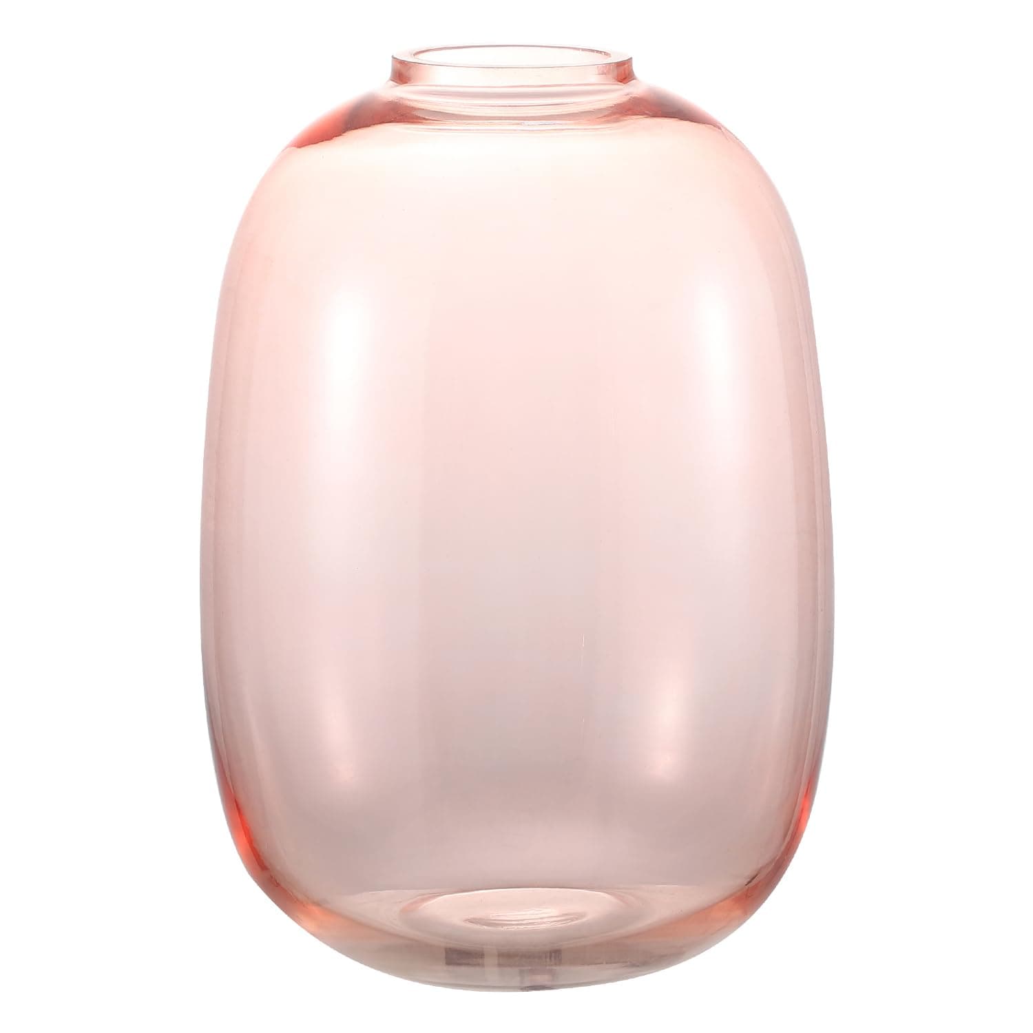 Large Glass Vase for Living Room, Dining Table, Shelf